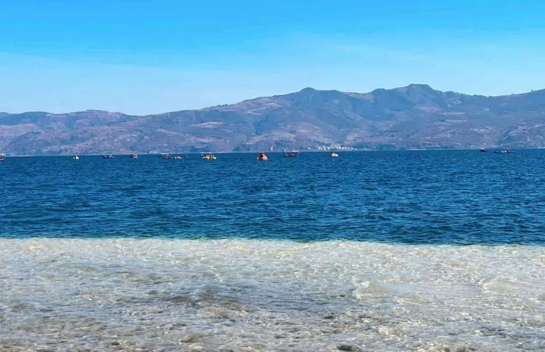 水性色浆 水性色浆